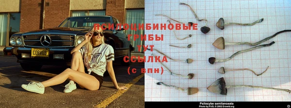 МДМА Богданович